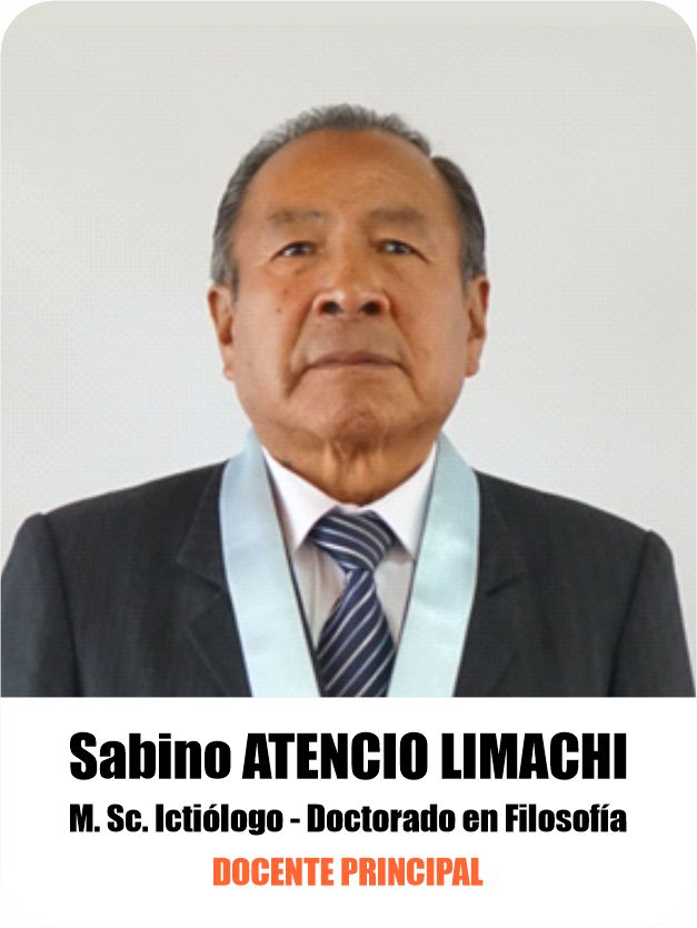 SABINO SABINO